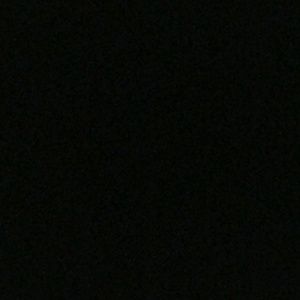 Meet your Posher, Vianey